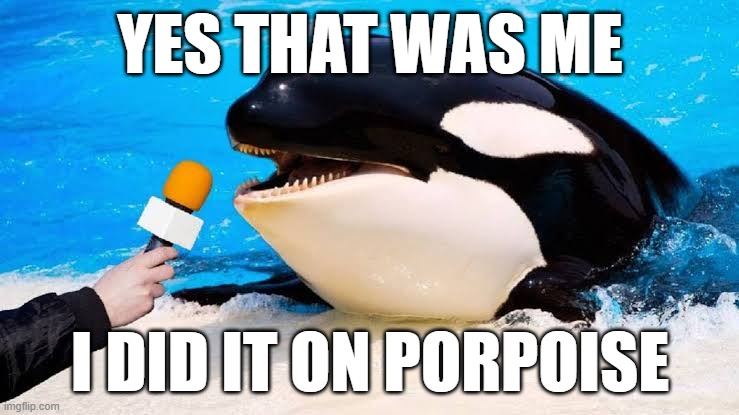 Orca talking into a microphone | yes that was me; i did it on porpoise | image tagged in orca talking into a microphone | made w/ Imgflip meme maker