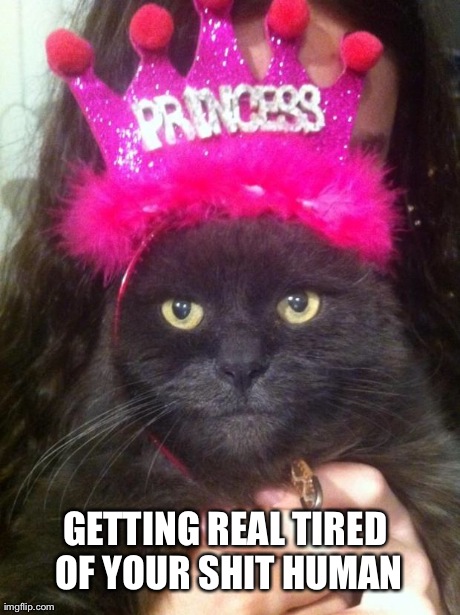 Fatcat princess | GETTING REAL TIRED OF YOUR SHIT HUMAN | image tagged in fatcat princess | made w/ Imgflip meme maker