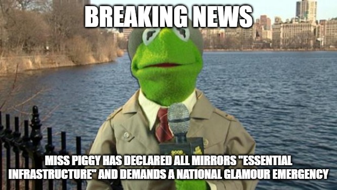 Kermit News Report | BREAKING NEWS; MISS PIGGY HAS DECLARED ALL MIRRORS "ESSENTIAL INFRASTRUCTURE" AND DEMANDS A NATIONAL GLAMOUR EMERGENCY | image tagged in kermit news report | made w/ Imgflip meme maker