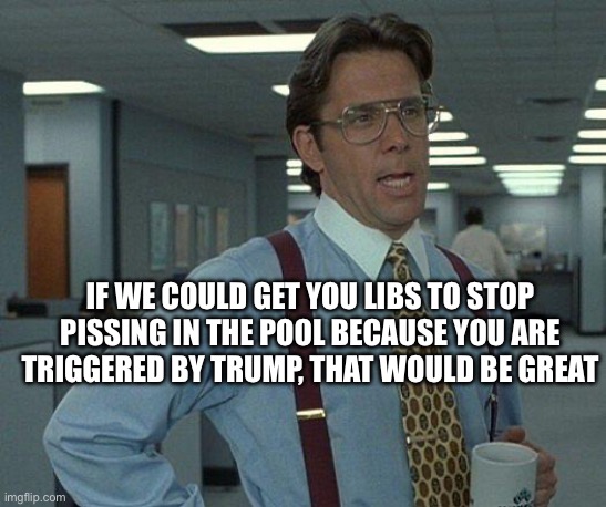 Yeah if you could  | If we could get you libs to stop pissing in the pool because you are triggered by Trump, that would be great | image tagged in yeah if you could | made w/ Imgflip meme maker