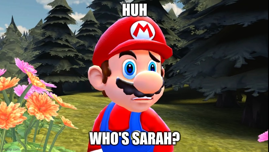 Mario confused | Huh Who's Sarah? | image tagged in mario confused | made w/ Imgflip meme maker
