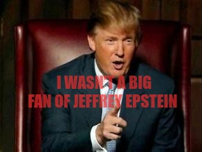 Not a fan?  | I wasn't a big fan of Jeffrey Epstein | image tagged in donald trump | made w/ Imgflip meme maker