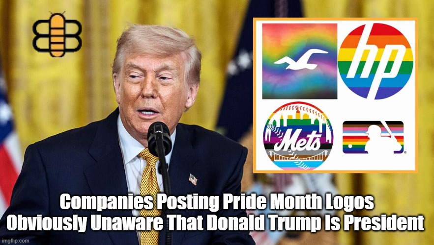Companies Posting Pride Month Logos Obviously Unaware That Donald Trump Is President | made w/ Imgflip meme maker