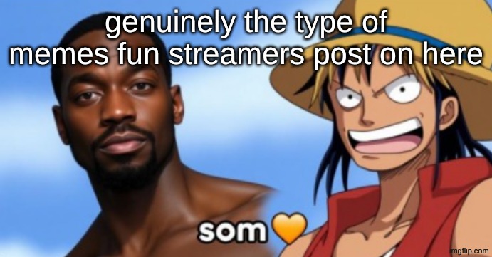 genuinely the type of memes fun streamers post on here | image tagged in som | made w/ Imgflip meme maker