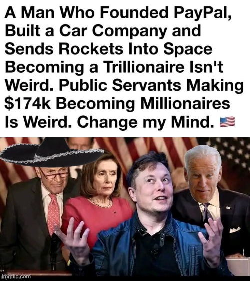 Elon Musks wealth is not as suspicious as the Demorhhoids | image tagged in elon musk demorhhoids,crooked,politicians | made w/ Imgflip meme maker