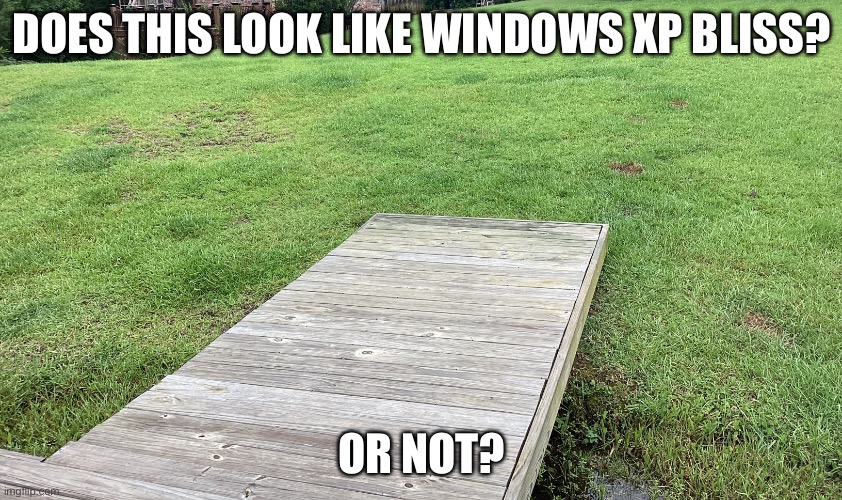 Microsoft is sued now | Does this look like Windows xp Bliss? Or not? | image tagged in img_1548 jpeg | made w/ Imgflip meme maker