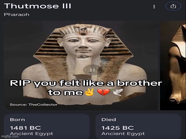 image tagged in memes,msmg | made w/ Imgflip meme maker