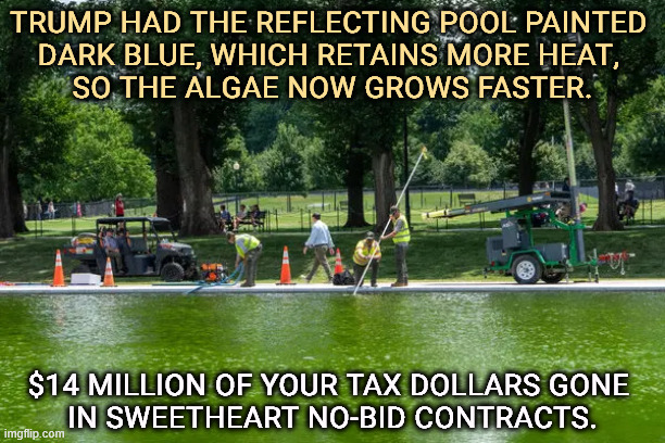 Trump is waste, fraud and abuse on steroids. More corruption and stupidity. | Trump had the reflecting pool painted 
dark blue, which retains more heat, 
so the algae now grows faster. $14 million of your tax dollars gone 
in sweetheart no-bid contracts. | image tagged in the reflecting pool is trump green 14 million lost -algae,trump,reflecting pool,algae,corruption,stupidity | made w/ Imgflip meme maker