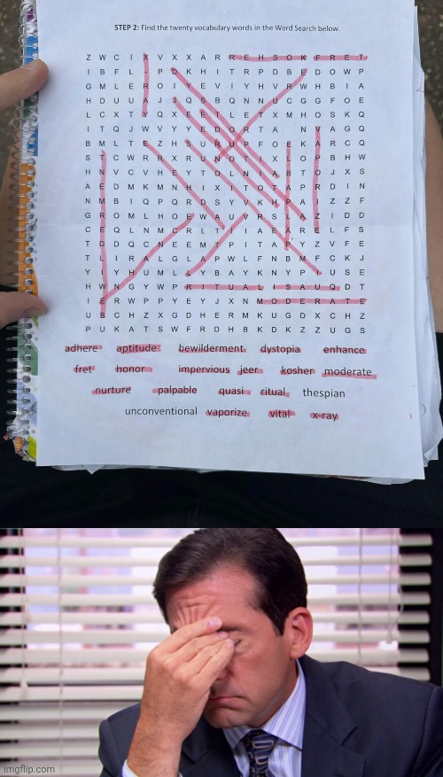 Oh look, a word search but some of the words are missing in there | image tagged in annoying,word search,words,word,memes,you had one job | made w/ Imgflip meme maker