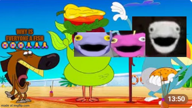 MMMM SANDWICH | Why is everyone a fish 😭😭😭🙏🙏🙏 | image tagged in marina sandwitch | made w/ Imgflip meme maker