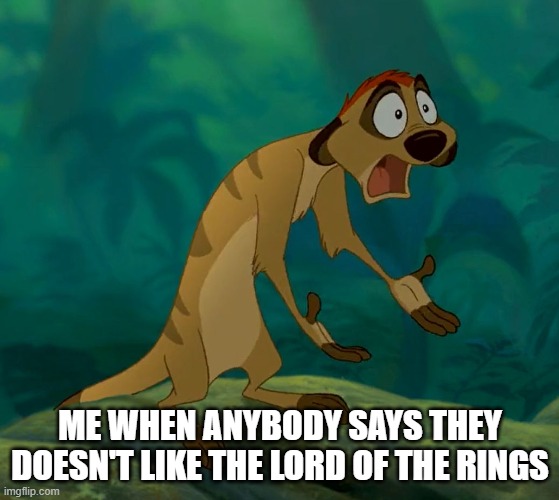 baffled timon | me when anybody says they doesn't like the lord of the rings | image tagged in baffled timon | made w/ Imgflip meme maker