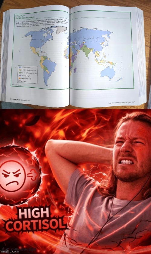 Geography book | image tagged in high cortisol,geography,book,textbook,you had one job,memes | made w/ Imgflip meme maker