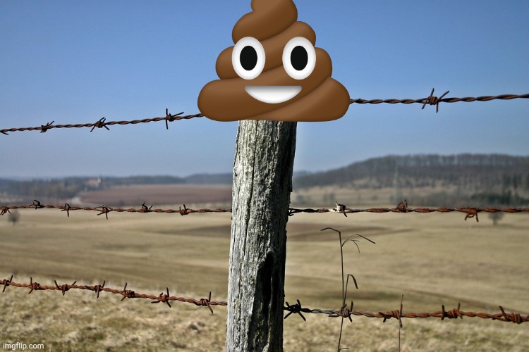 I finally got 10k points, so here's a pun. | image tagged in fence post,pun | made w/ Imgflip meme maker
