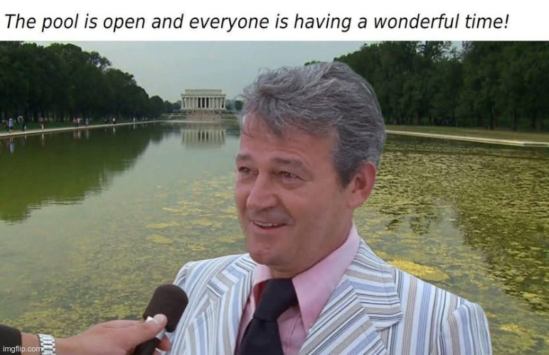 Make Algae Grow Again | image tagged in maga | made w/ Imgflip meme maker