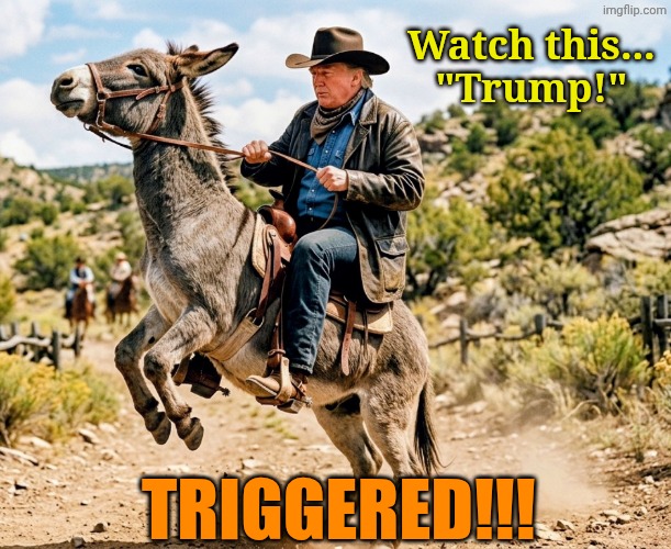 Troll 'em, Cowboy! | Watch this... 
"Trump!"; Triggered!!! | image tagged in trump trigger | made w/ Imgflip meme maker