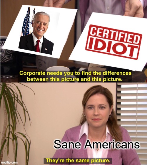 They're The Same Picture | Sane Americans | image tagged in memes,they're the same picture | made w/ Imgflip meme maker