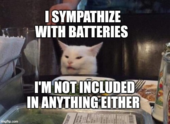 Smudge that darn cat | I sympathize with batteries; I'm not included in anything either | image tagged in smudge that darn cat | made w/ Imgflip meme maker