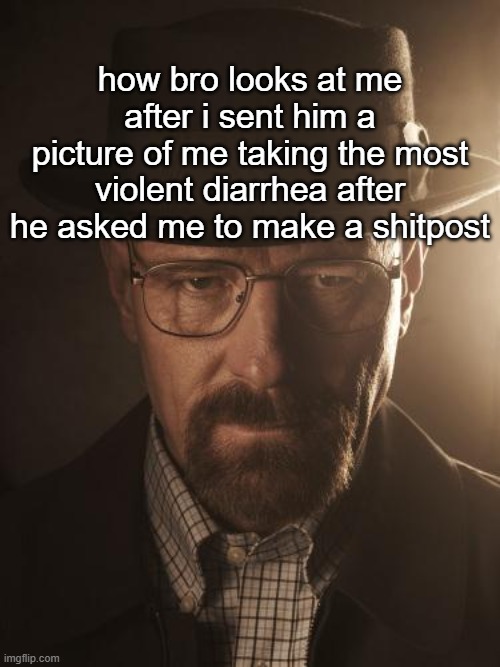 he asked for it | how bro looks at me after i sent him a picture of me taking the most violent diarrhea after he asked me to make a shitpost | image tagged in walter white | made w/ Imgflip meme maker
