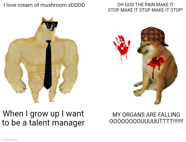 Warning this should not be taoken seriously. And yes I'm perfectly sane. You should not be worried about me I'm fine. | I love cream of mushroom xDDDD; OH GOD THE PAIN MAKE IT STOP MAKE IT STOP MAKE IT STOP! When I grow up I want to be a talent manager; MY ORGANS ARE FALLING OOOOOOOOUUUUUTTTT!!!!!!! | image tagged in memes,buff doge vs cheems | made w/ Imgflip meme maker