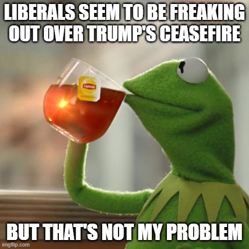 He's actually bringing gas prices down and making it more AFFORDABLE | Liberals seem to be freaking out over Trump's ceasefire; But that's not my problem | image tagged in memes,but that's none of my business,kermit the frog | made w/ Imgflip meme maker