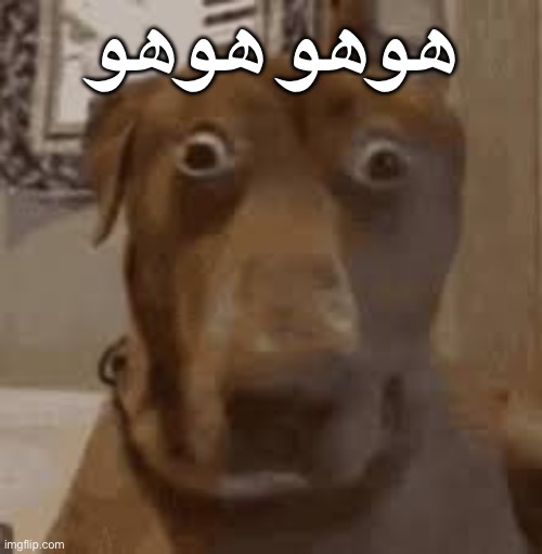 Bilingual Hoho hoho | هوهو هوهو | image tagged in img_0944 png | made w/ Imgflip meme maker
