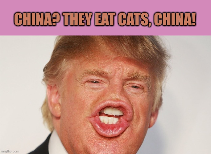 Donald Trump China | China? They eat cats, china! | image tagged in donald trump china | made w/ Imgflip meme maker