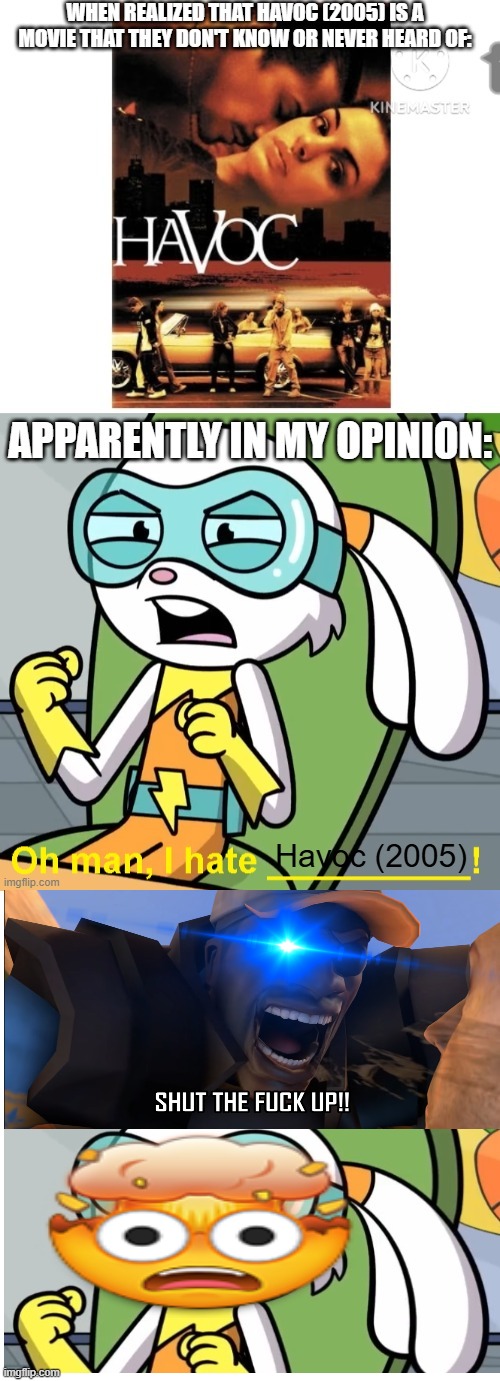 STFU about the 2005 version of Havoc. | image tagged in ruin this trash,demoman,team fortress 2,deviantart,super duper bunny league | made w/ Imgflip meme maker