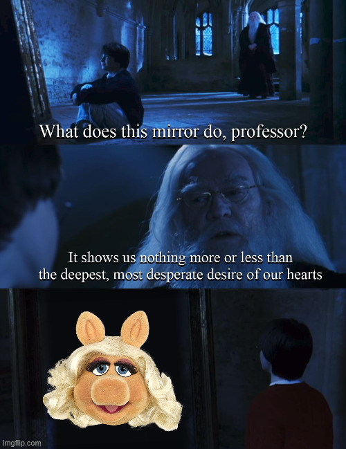 Harry potter mirror | image tagged in harry potter mirror | made w/ Imgflip meme maker