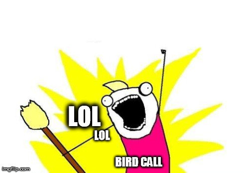 X All The Y Meme | LOL
                                                          BIRD CALL LOL | image tagged in memes,x all the y | made w/ Imgflip meme maker