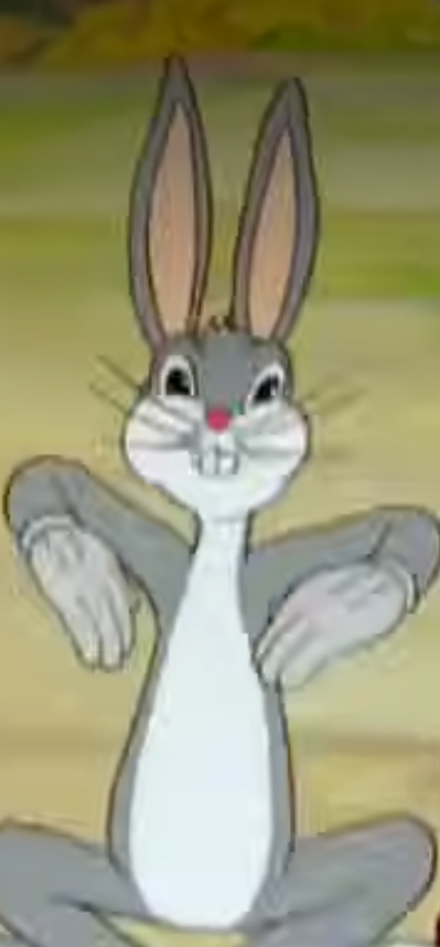 chunks bunny Blank Meme Template