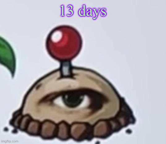 the potato | 13 days | image tagged in the potato | made w/ Imgflip meme maker