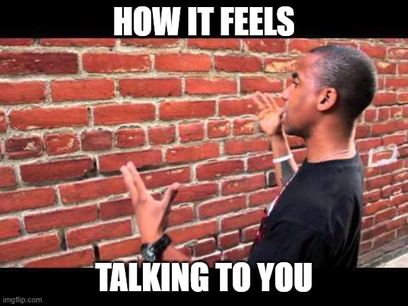 Brick wall guy | how it feels; talking to you | image tagged in brick wall guy | made w/ Imgflip meme maker