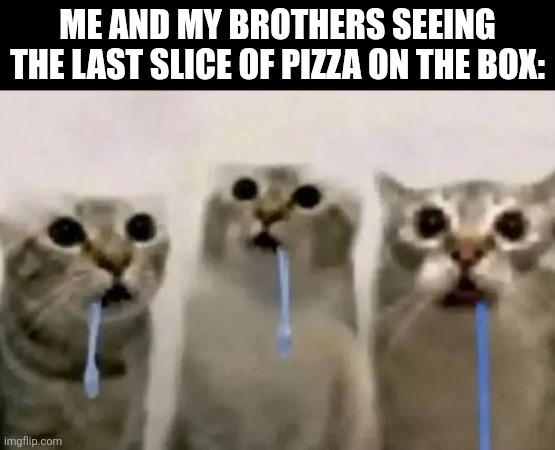 Me and my brothers seeing the last slice of pizza on the box: | image tagged in memes,pizza,kittens | made w/ Imgflip meme maker