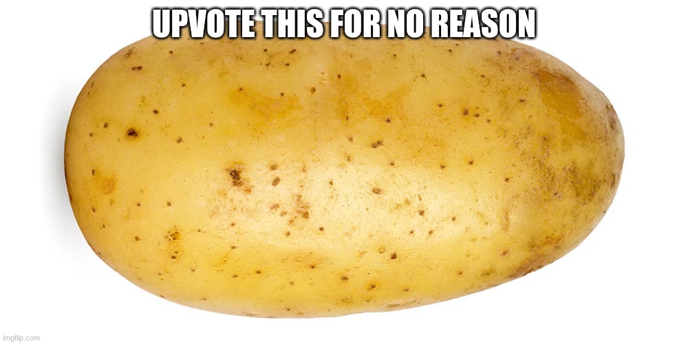 do it | upvote this for no reason | image tagged in al027-01_pomme_de_terre_0_0 avif,potoate,meme,upvoiteeeeeeeeeeeeeeeeeee | made w/ Imgflip meme maker