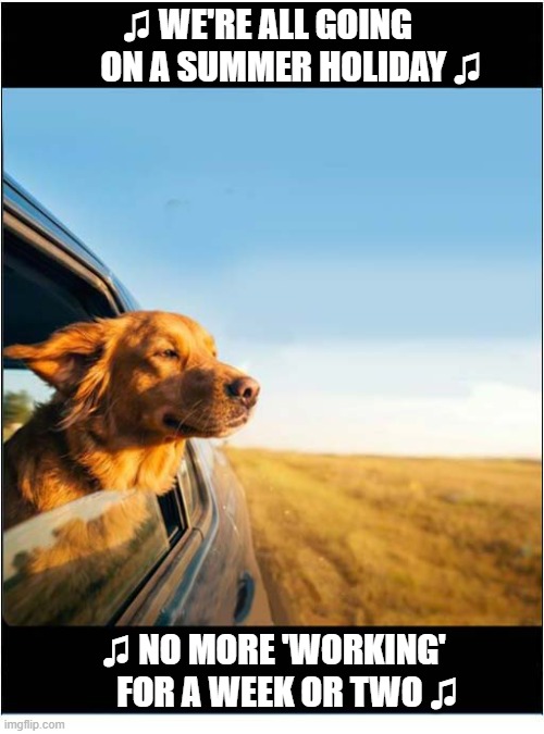 Where Are You Off To ? | ♫ We're all going 
      on a summer holiday ♫; ♫ no more 'working' 
   for a week or two ♫ | image tagged in dogs,car,journey,song lyrics | made w/ Imgflip meme maker