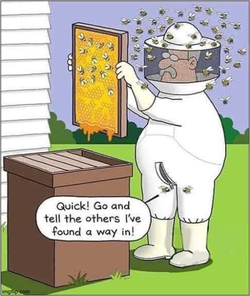 A Bad Day For A Bee Keeper ! | image tagged in bees,bee keeper,bad day at work | made w/ Imgflip meme maker