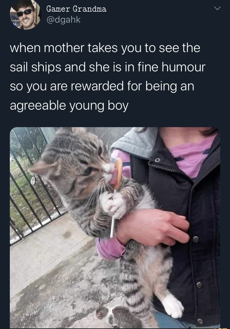 When mother takes you to see the sail ships Blank Meme Template