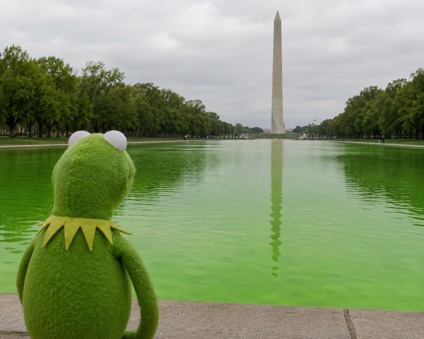 Kermit Reflecting Pool Blank Meme Template