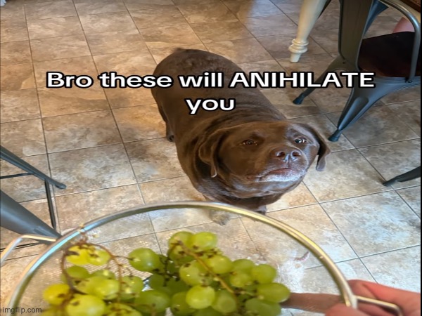 image tagged in memes,msmg | made w/ Imgflip meme maker