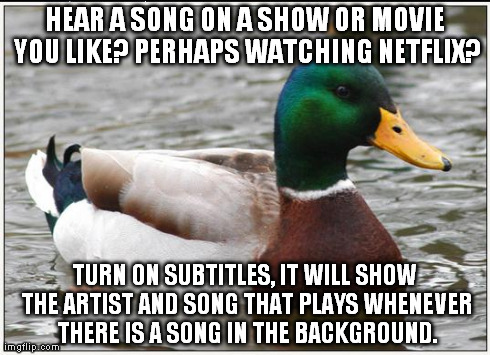 Actual Advice Mallard | HEAR A SONG ON A SHOW OR MOVIE YOU LIKE? PERHAPS WATCHING NETFLIX? TURN ON SUBTITLES, IT WILL SHOW THE ARTIST AND SONG THAT PLAYS WHENEVER T | image tagged in memes,actual advice mallard,AdviceAnimals | made w/ Imgflip meme maker