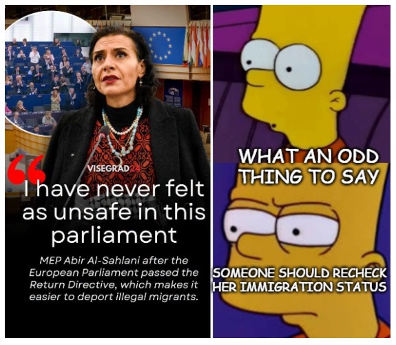 image tagged in what an odd thing to say bart,illegal immigrants,politics,european union,europe | made w/ Imgflip meme maker
