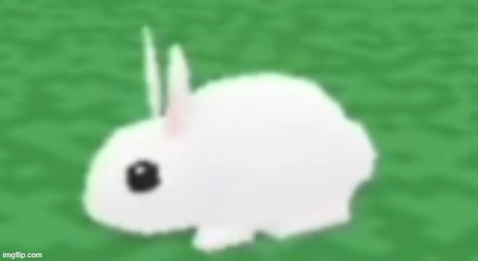what a cute bunny I wonder what it will say | image tagged in what a cute bunny i wonder what it will say | made w/ Imgflip meme maker
