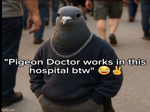 image tagged in memes,msmg | made w/ Imgflip meme maker