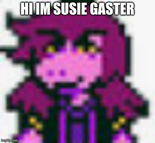 hey | hi Im Susie gaster | image tagged in susiegaster | made w/ Imgflip meme maker