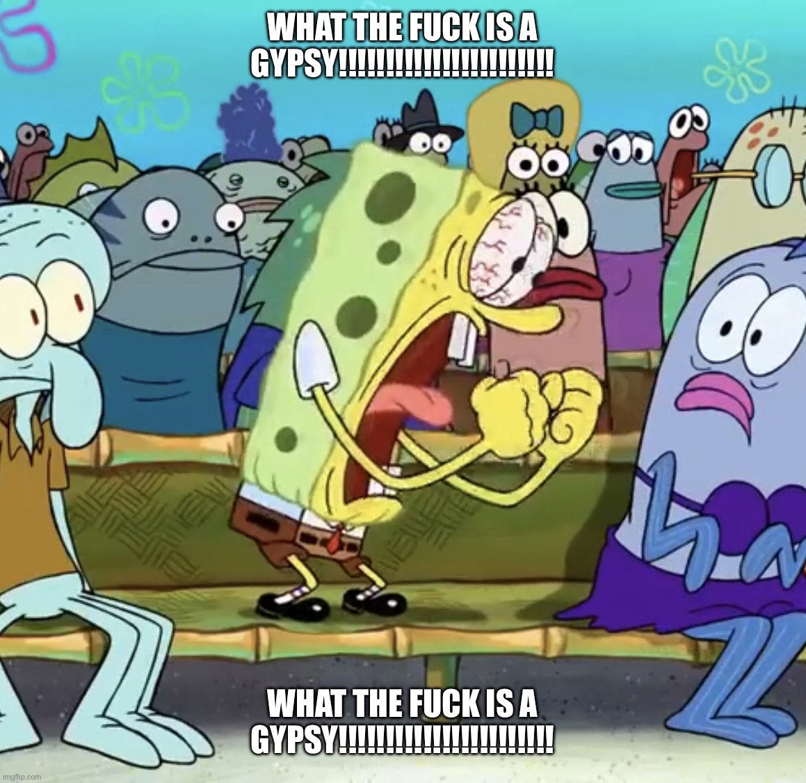 Spongebob Yelling | What the fuck is a Gypsy!!!!!!!!!!!!!!!!!!!!!!! What the fuck is a Gypsy!!!!!!!!!!!!!!!!!!!!!!! | image tagged in spongebob yelling | made w/ Imgflip meme maker