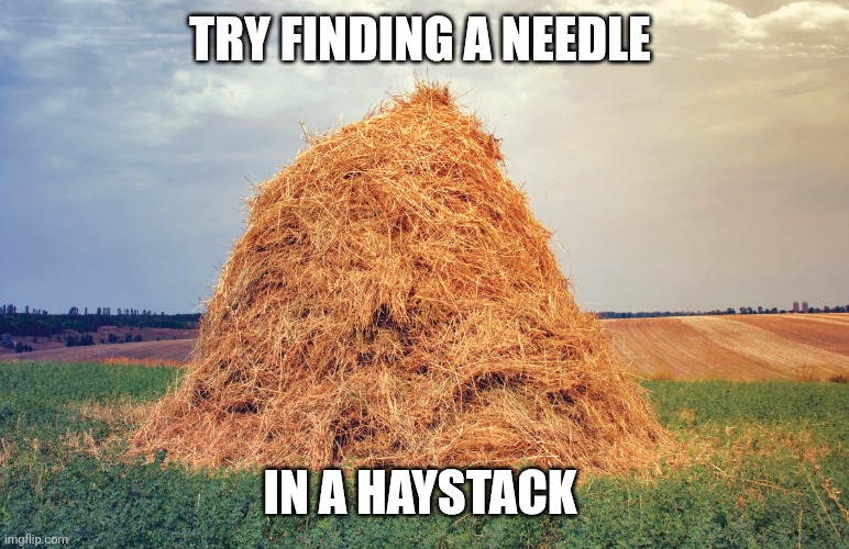 Haystack | Try finding a needle; In a haystack | image tagged in haystack,funny memes | made w/ Imgflip meme maker