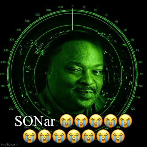 My first ever SON meme | SONar 😭😭😭😭😭
😭😭😭😭😭😭😭 | image tagged in 6dc70d06-069e-4201-aa2f-0eba8e9022b2 png | made w/ Imgflip meme maker