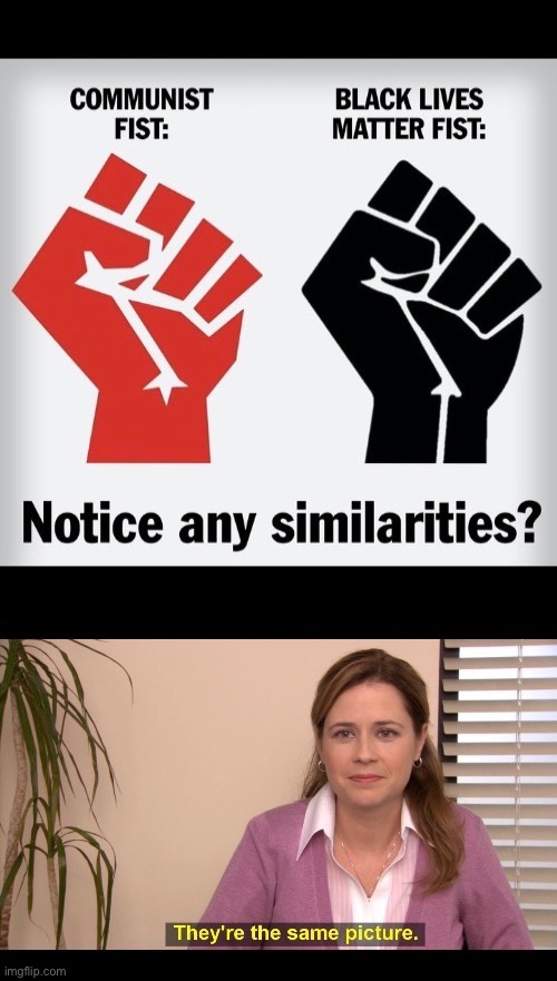 They’re one in the same | image tagged in political meme,they're the same picture,fists,communist,black lives matter,terrorists | made w/ Imgflip meme maker