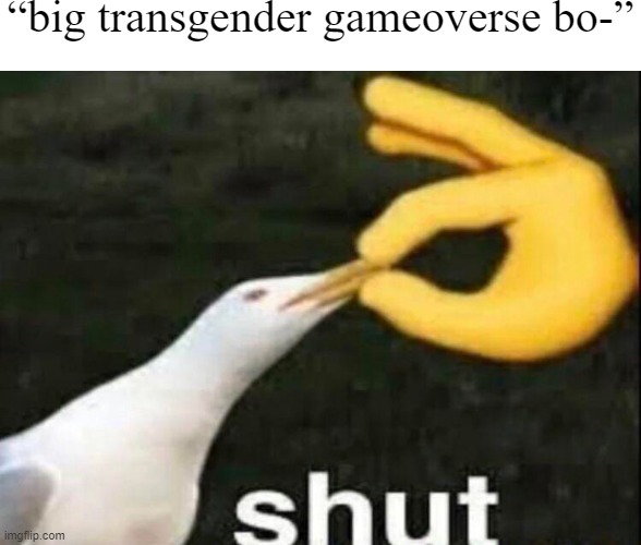 Shut | “big transgender gameoverse bo-” | image tagged in shut,memes,gameoverse | made w/ Imgflip meme maker