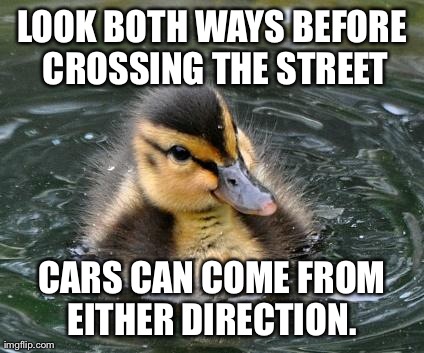 Almost Advice Mallard | LOOK BOTH WAYS BEFORE CROSSING THE STREET CARS CAN COME FROM EITHER DIRECTION. | image tagged in almost advice mallard,AdviceAnimals | made w/ Imgflip meme maker
